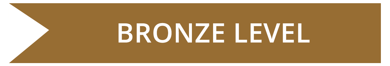 Bronze Level